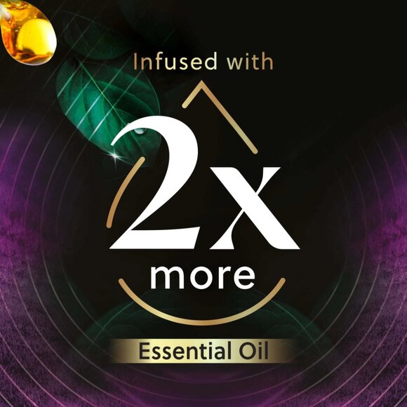 Air Wick Vibrant Lavender & Waterlily Plug-In Oil Refills 2 Pack Air Freshener - Picture 2 of 6